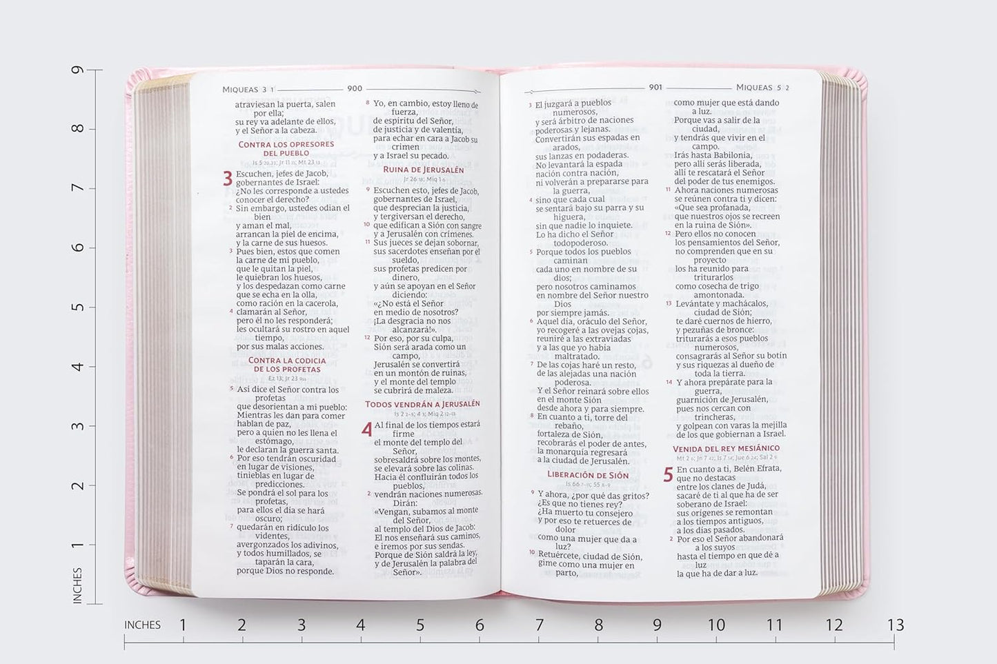 BIBLIA DE AMÉRICA: BIBLIA CATÓLICA ROSA