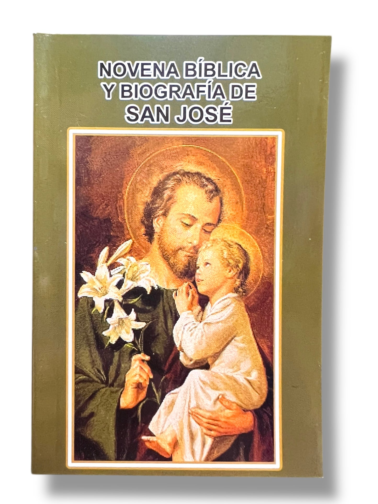 NOVENA BIBLICA Y BIOGRAFIA DE SAN JOSÉ