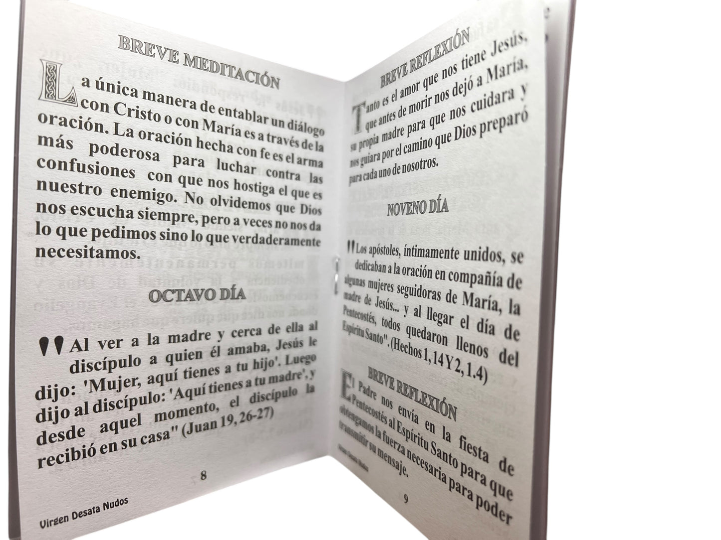 NOVENA VIRGEN DESATANUDOS