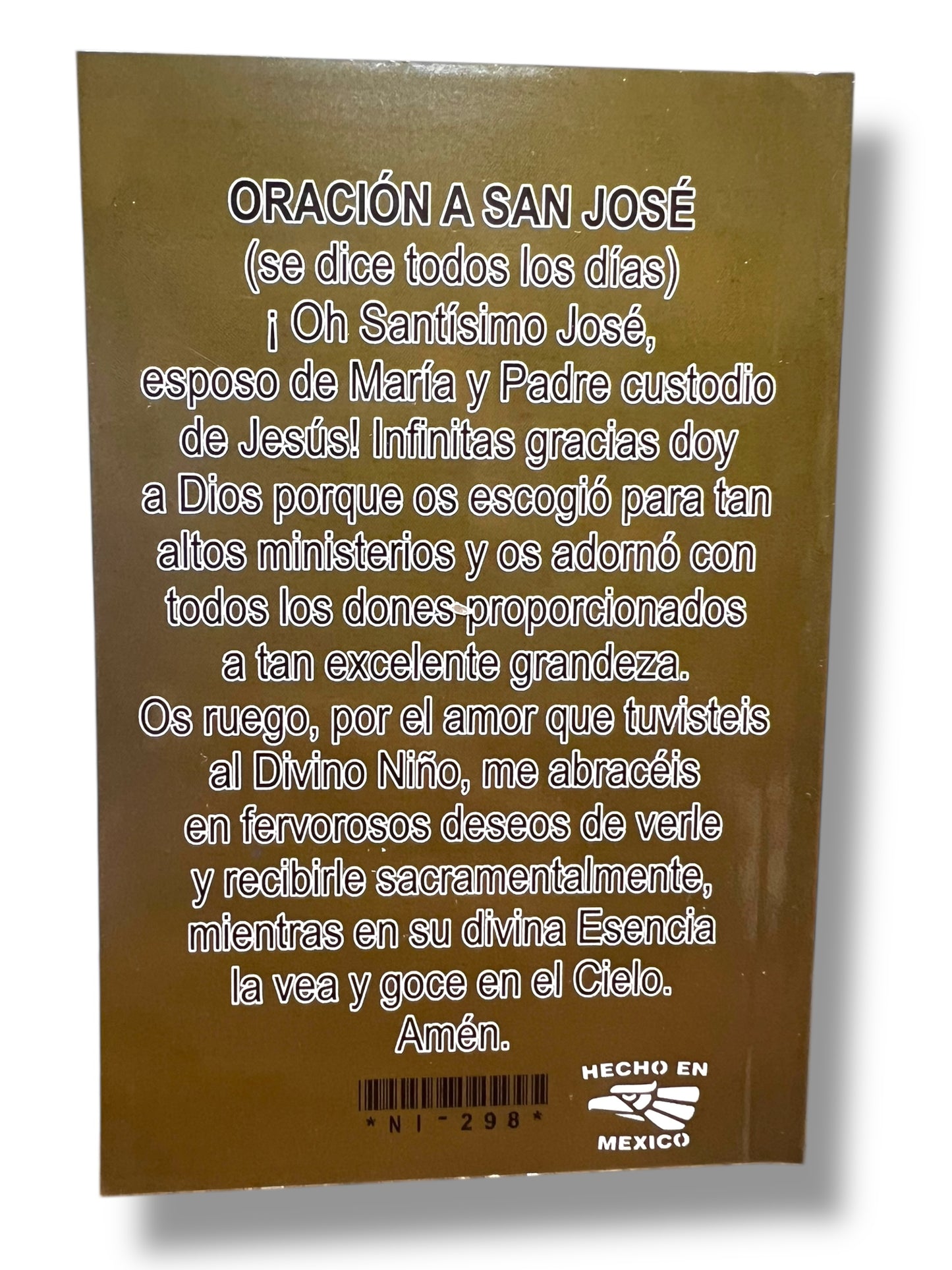 NOVENA BIBLICA Y BIOGRAFIA DE SAN JOSÉ