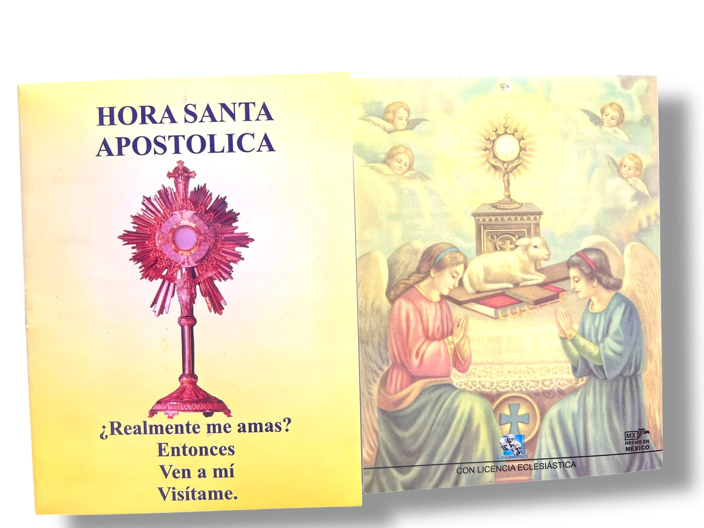 HORA SANTA APOSTOLICA -¿REALMENTE ME AMAS?