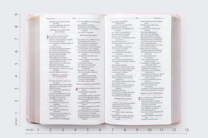 BIBLIA DE AMÉRICA: BIBLIA CATÓLICA ROSA