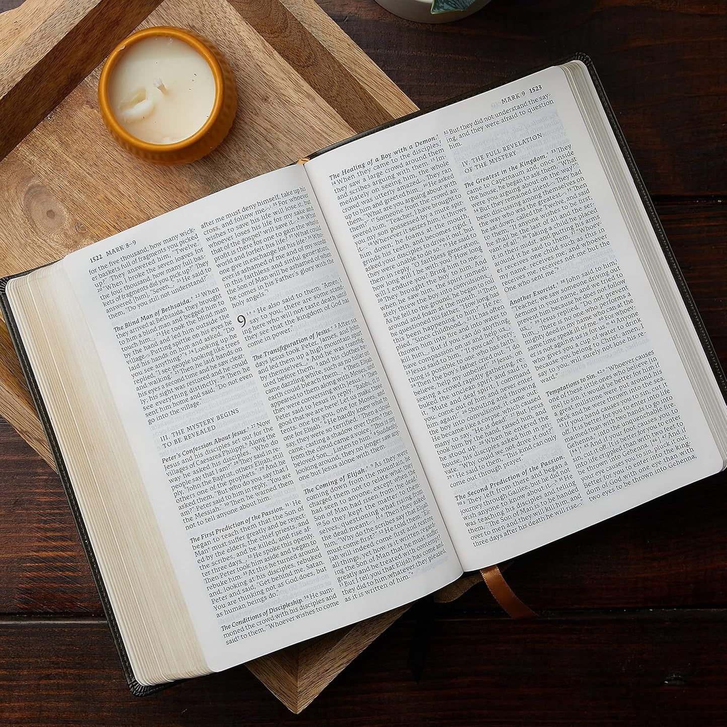 NABRE NEW AMERICAN CATHOLIC BIBLE LARGE PRINT BROWN