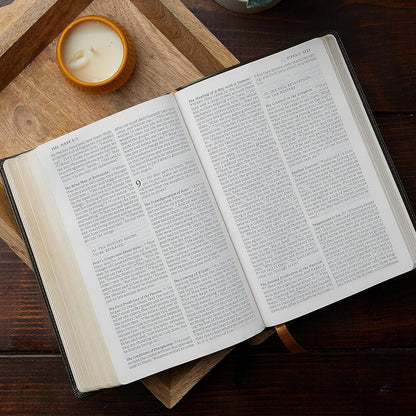 NABRE NEW AMERICAN CATHOLIC BIBLE LARGE PRINT BROWN