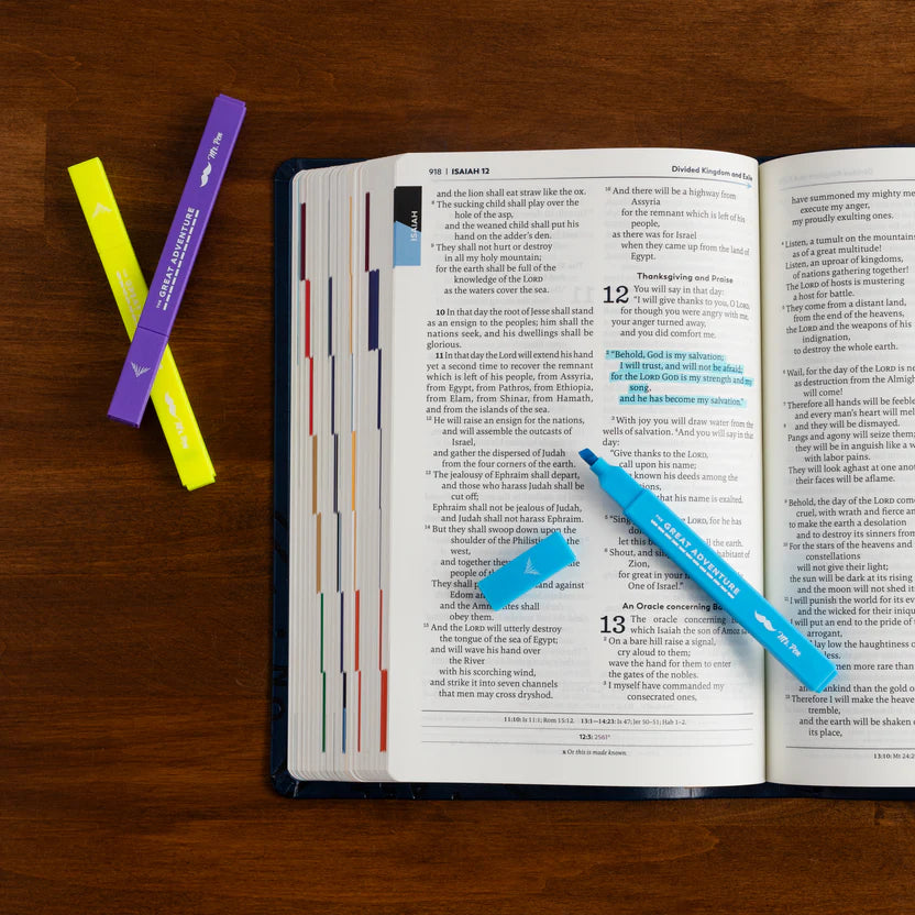 THE GREAT ADVENTURE CHISEL TIP BIBLE HIGHLIGHTERS