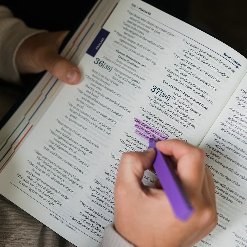 THE GREAT ADVENTURE CHISEL TIP BIBLE HIGHLIGHTERS