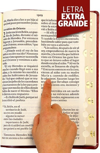 La Biblia Palabra de Vida Litra Extra Grande -Sími Piel