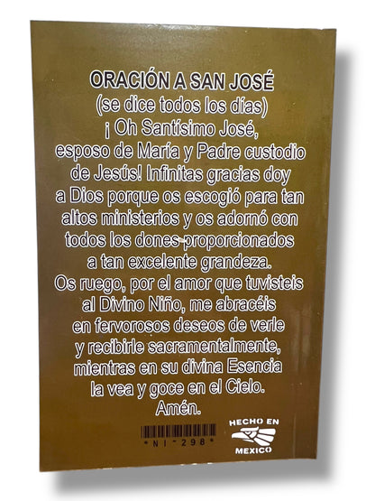 NOVENA BIBLICA Y BIOGRAFIA DE SAN JOSÉ