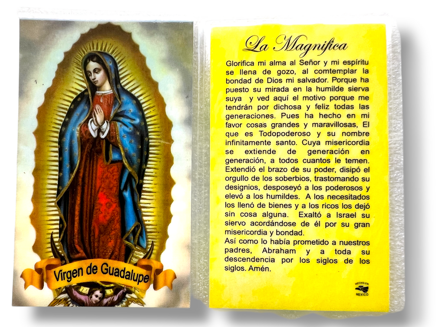 LA MAGNIFICA