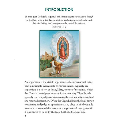 BLESSED VIRGIN MARY: APPEARANCE
