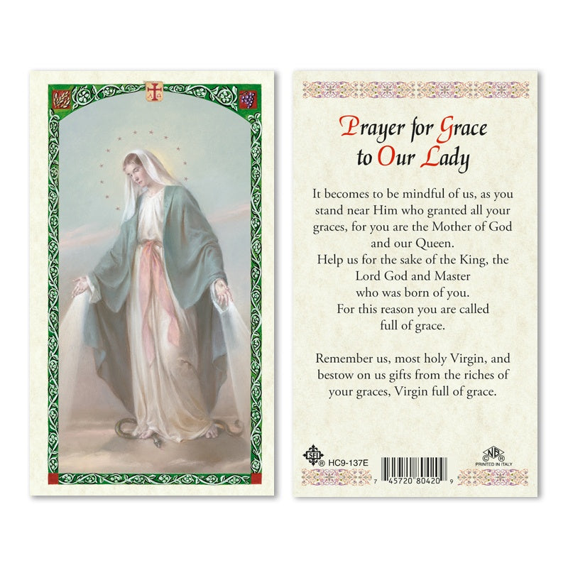 PRAYER FOR GRACE TO OUR LADY