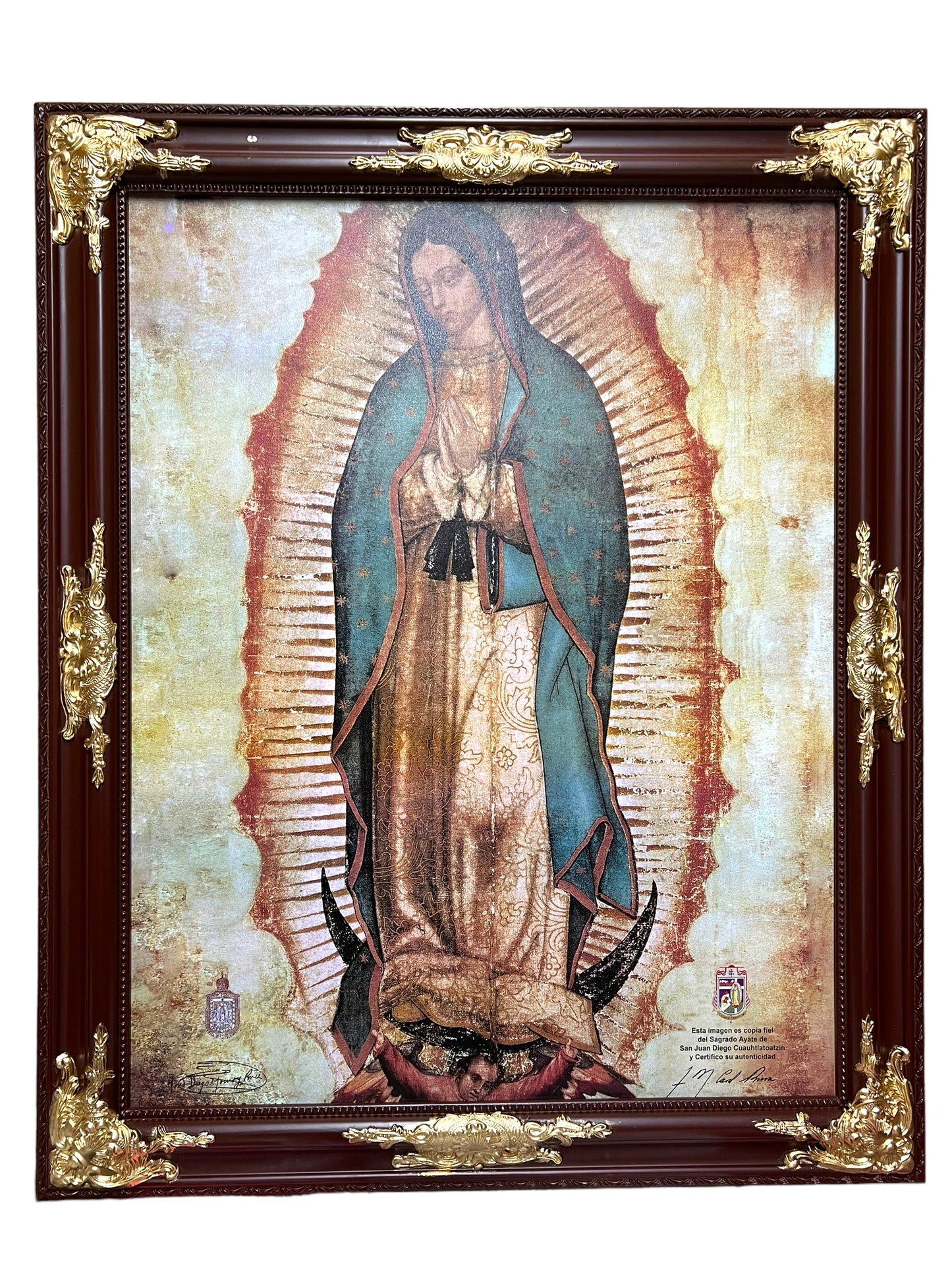 ELEGANT 22"x28" FRAMED PRINT -OUR LADY OF GUADALUPE