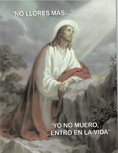 "NO LLORES MAS" "YO NO MUERO ENTRO EN LA VIDA" LIBRO RELIGIOSO - Tiendita San Juditas Spanish Tiendita San Juditas