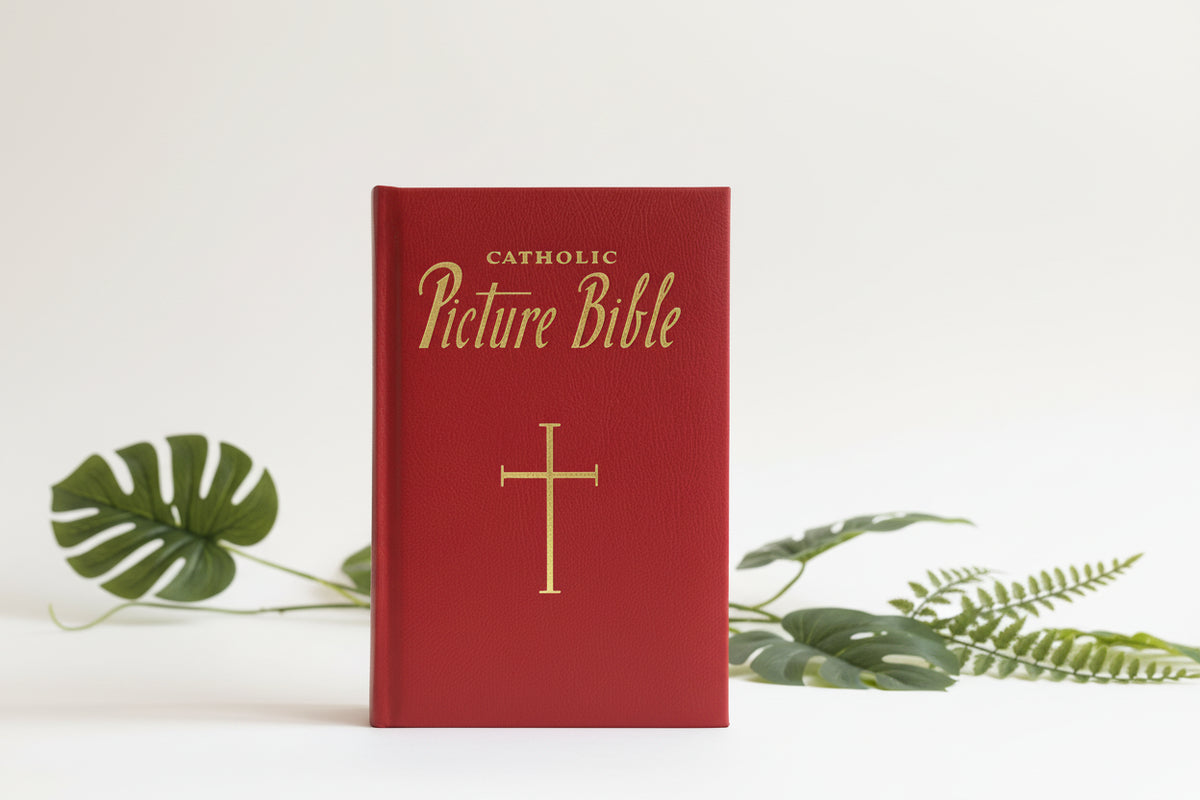 New Catholic Picture Bible