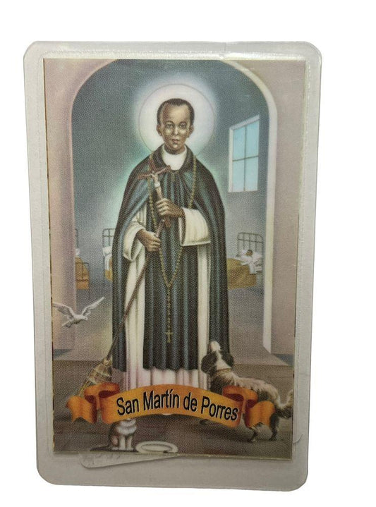 SAN MARTIN DE PORRES