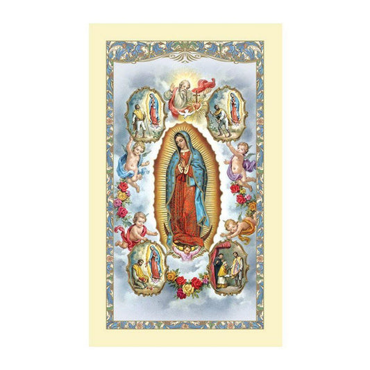 NUESTRA SEÑORA DE GUADALUPE /VISIONES