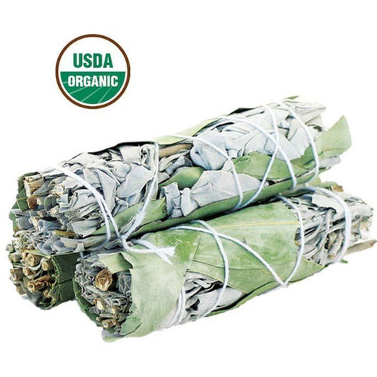 SAGE BUNDLE