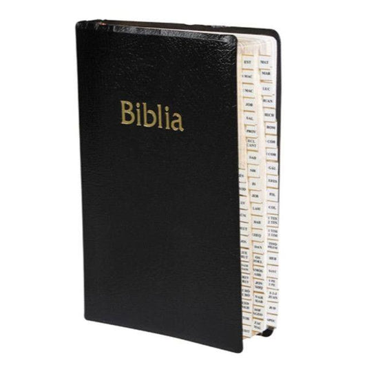 INDICE PARA BIBLIA