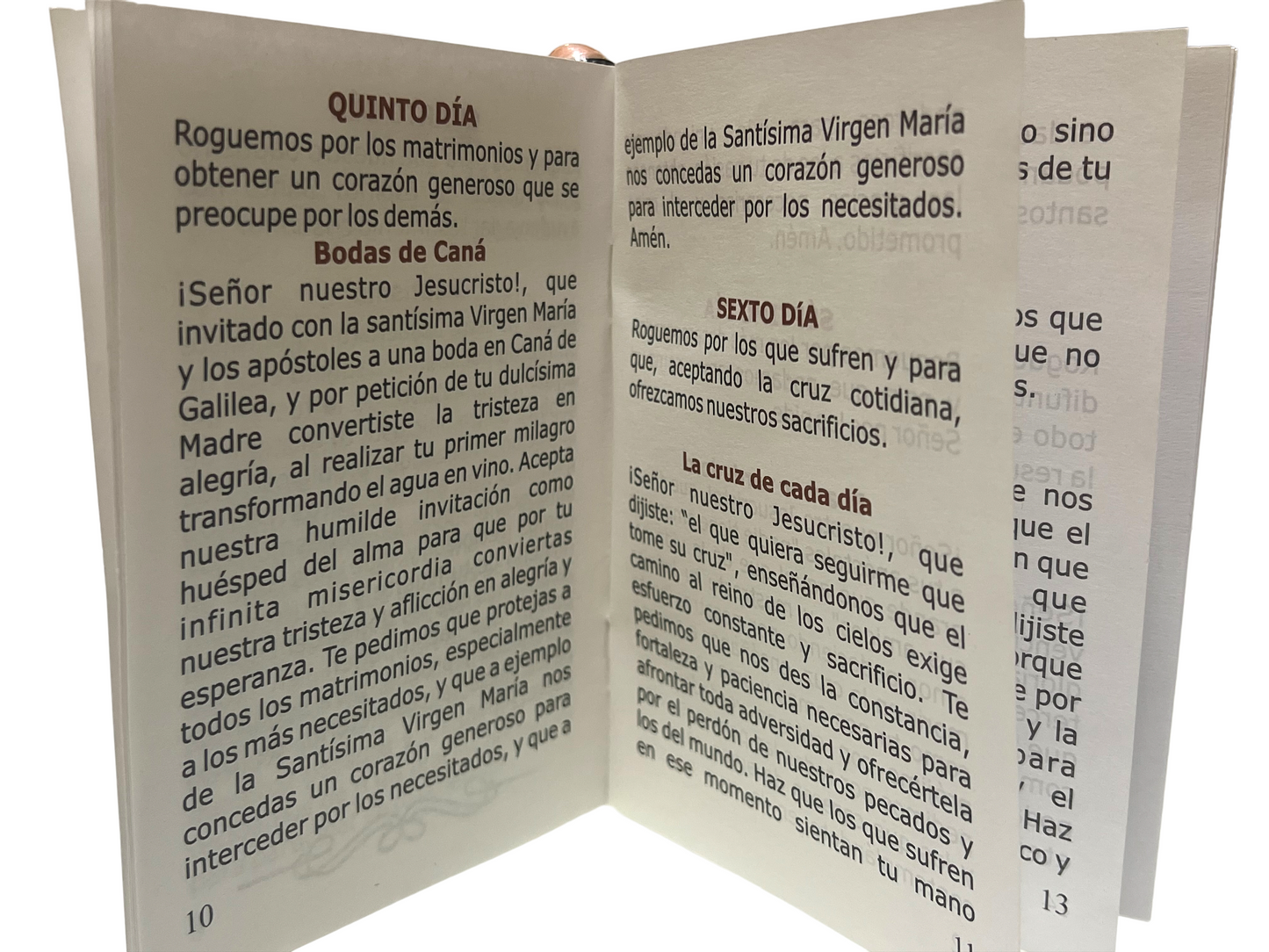 NOVENA Y TRIDUO EN HONOR DE NUESTRO SEÑOR DEL VENENO