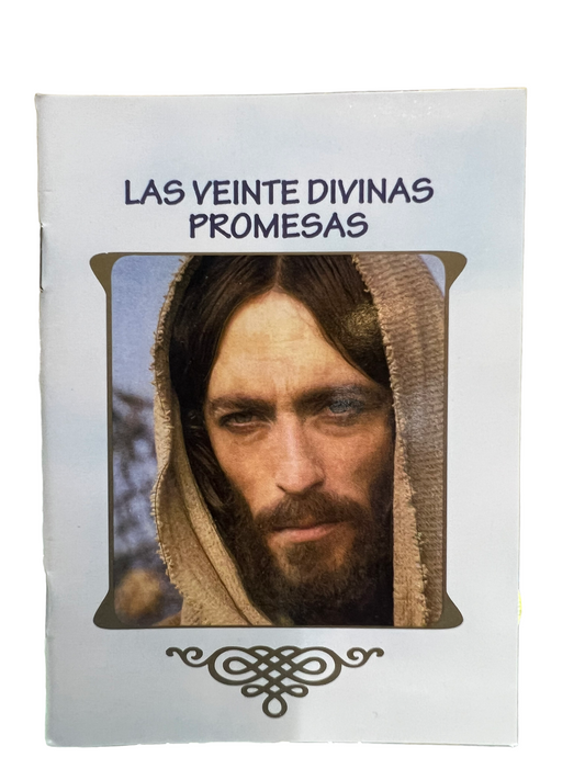 LAS VEINTE DIVINAS PROMESAS